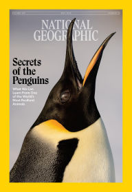 National Geographic Magazine (May 2025 Issue) Secrets of the Penguins